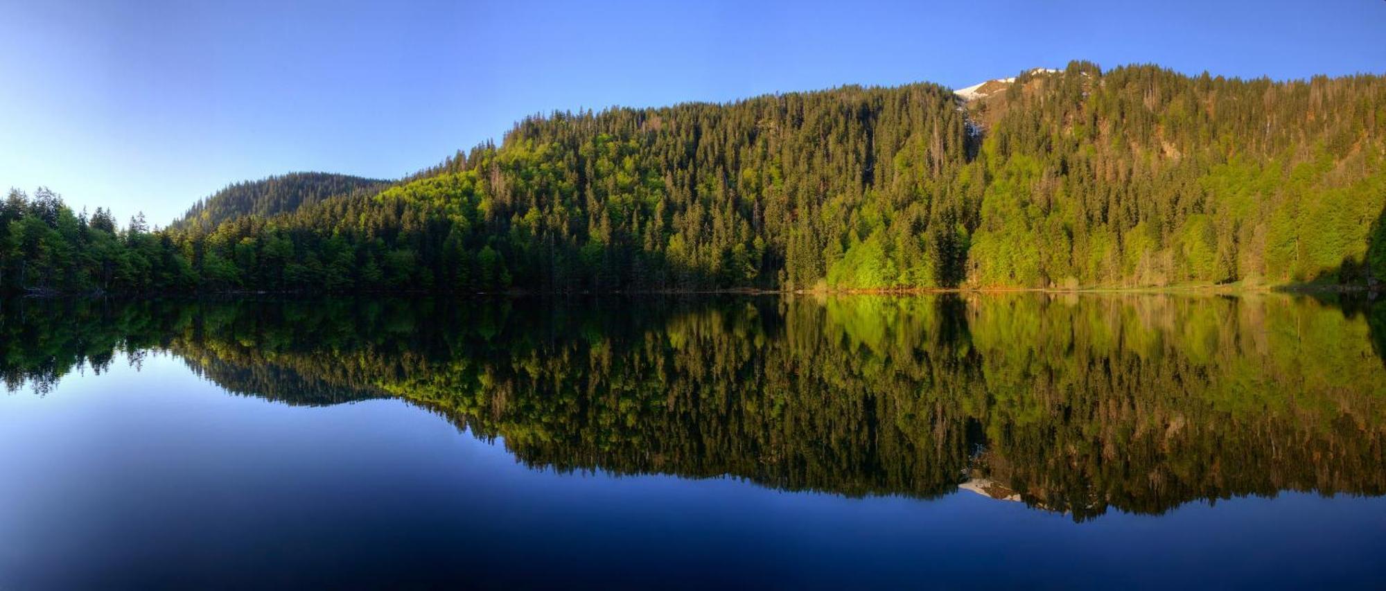 Haus Panoramablick - Fewo Storchennest, Хёхеншванд Экстерьер фото